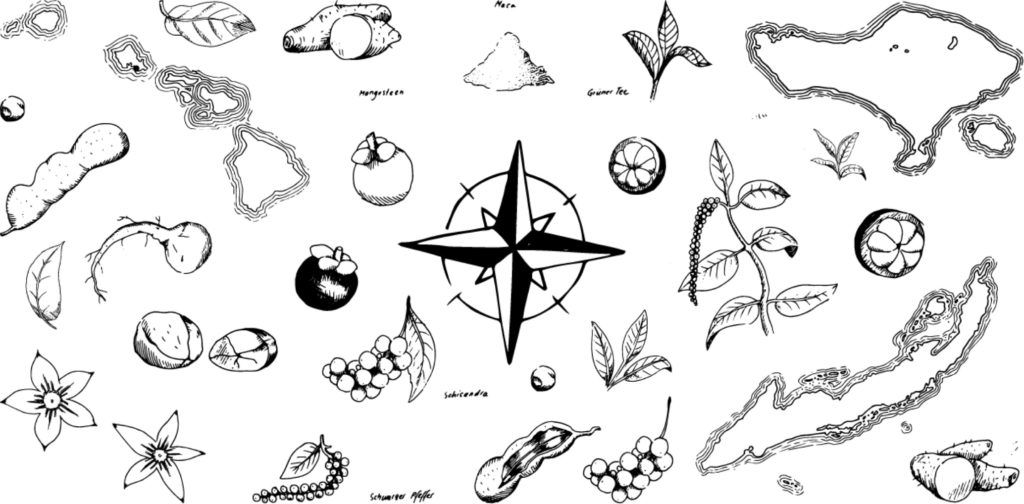 Gewara Illustrationen