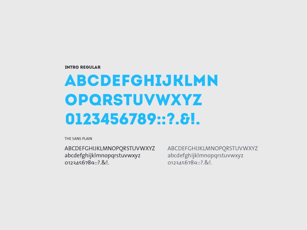 Dallmeier Typografie und Farbgebung