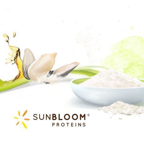 Sunbloom Proteins Illustration Sonneblumenkern